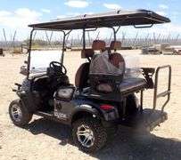 M-1166 SDLGC80 Electric Golf Cart