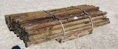 M-389  Treated Posts