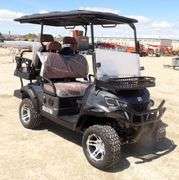 M-1164 SDLGC80 Electric Golf Cart