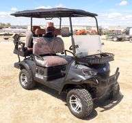 M-1165 SDLGC80 Electric Golf Cart