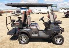 M-1165 SDLGC80 Electric Golf Cart