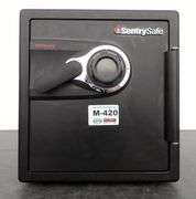 M-420  Sentry Safe