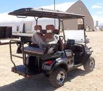 M-1166 SDLGC80 Electric Golf Cart