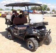 M-1166 SDLGC80 Electric Golf Cart