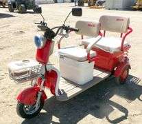 M-1167 IRGC40 Electric Tricycle