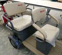 M-1160 IRGC40 Electric Tricycle