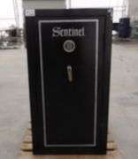M-773  Sentinel Safe