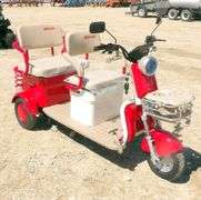 M-1163 IRGC40 Electric Tricycle