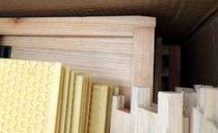 H-426  10-Frame Beehive