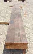 H-216 Glu-Lam Beams