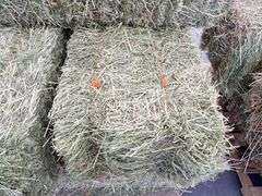 H-1282 Hay Bales (10)