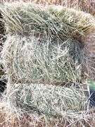 H-1283 Hay Bales (260)