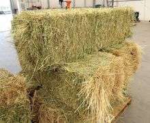 H-1282 Hay Bales (10)