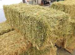 H-1282 Hay Bales (10)