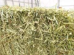 H-1282 Hay Bales (10)