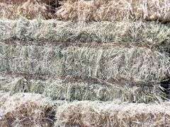 H-1283 Hay Bales (260)