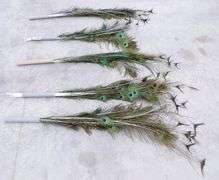 A-243  Peacock Feathers