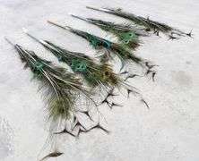 A-243  Peacock Feathers