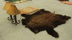 A-386 Western Decor & Buffalo Hide