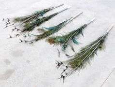 A-243  Peacock Feathers