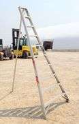 A-326 Orchard Ladder