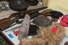 Live Auction Pat’s Bandits Wildlife Rehab Benefit Sunday March 30th 10am