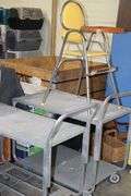 Live Auction Pat’s Bandits Wildlife Rehab Benefit Sunday March 30th 10am