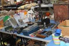 Live Auction Pat’s Bandits Wildlife Rehab Benefit Sunday March 30th 10am