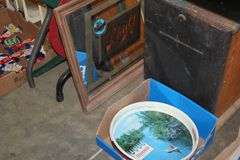 Live Auction Pat’s Bandits Wildlife Rehab Benefit Sunday March 30th 10am