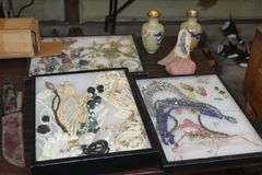 Live Auction Pat’s Bandits Wildlife Rehab Benefit Sunday March 30th 10am