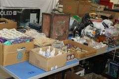 Live Auction Pat’s Bandits Wildlife Rehab Benefit Sunday March 30th 10am