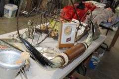 Live Auction Pat’s Bandits Wildlife Rehab Benefit Sunday March 30th 10am