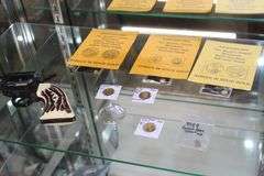 Live Auction Pat’s Bandits Wildlife Rehab Benefit Sunday April 13th 10am