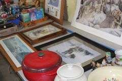 Live Auction Pat’s Bandits Wildlife Rehab Benefit Sunday April 13th 10am