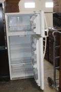 Live Auction Pat’s Bandits Wildlife Rehab Benefit Sunday April 13th 10am