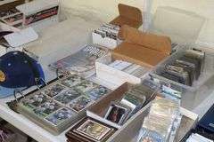 Live Auction Pat’s Bandits Wildlife Rehab Benefit Sunday April 13th 10am
