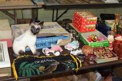 Live Auction Pat’s Bandits Wildlife Rehab Benefit Sunday April 27th 10am