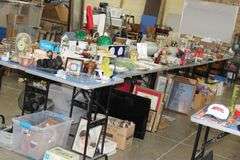 Live Auction Pat’s Bandits Wildlife Rehab Benefit Sunday May 18th 10am