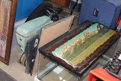 Live Auction Pat’s Bandits Wildlife Rehab Benefit Sunday May 18th 10am