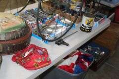 Live Auction Pat’s Bandits Wildlife Rehab Benefit Sunday May 18th 10am