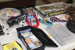 Live Auction Pat’s Bandits Wildlife Rehab Benefit Sunday May 18th 10am