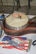 Live Auction Pat’s Bandits Wildlife Rehab Benefit Sunday May 18th 10am