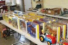 Live Auction Pat’s Bandits Wildlife Rehab Benefit Saturday June 14th 10am