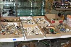 Live Auction Pat’s Bandits Wildlife Rehab Benefit Sunday June 29th 10am