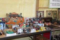Live Auction Pat’s Bandits Wildlife Rehab Benefit Saturday June 14th 10am