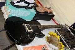 Live Auction Pat’s Bandits Wildlife Rehab Benefit Sunday June 29th 10am