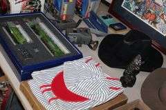 Live Auction Pat’s Bandits Wildlife Rehab Benefit Sunday June 29th 10am