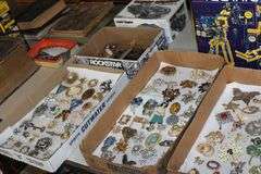 Live Auction Pat’s Bandits Wildlife Rehab Benefit Sunday June 29th 10am