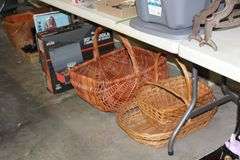Live Auction Pat’s Bandits Wildlife Rehab Benefit Saturday July 26th 10am