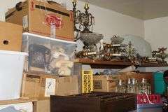 Live Auction Pat’s Bandits Wildlife Rehab Benefit Sunday August 3rd 10am